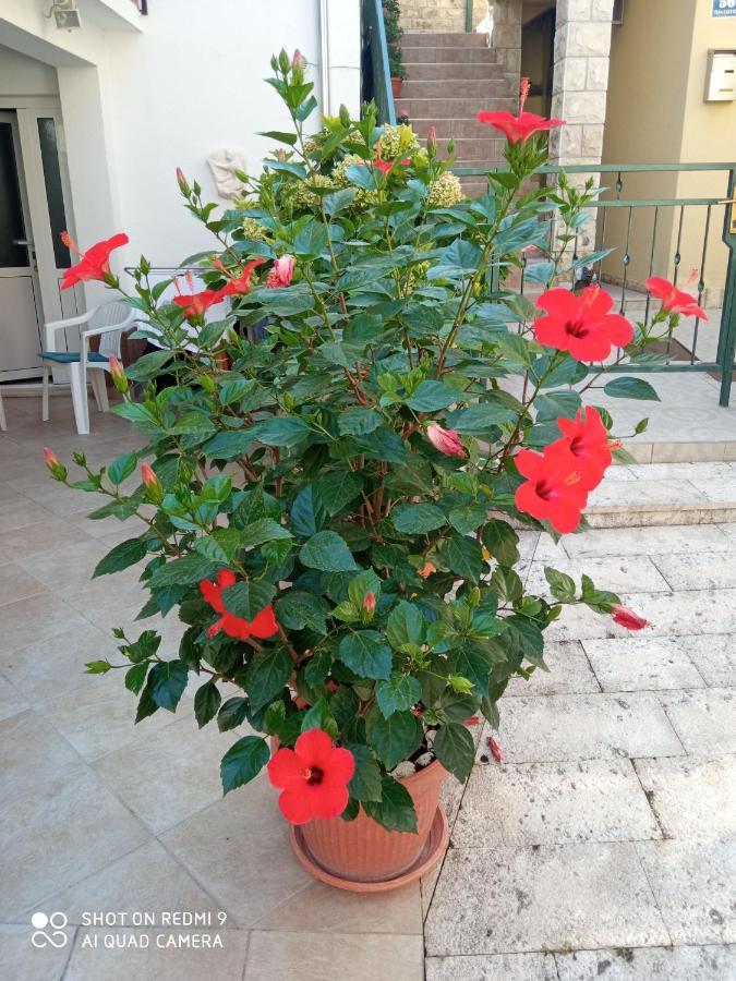 Apartments Sime Trogir Exterior foto