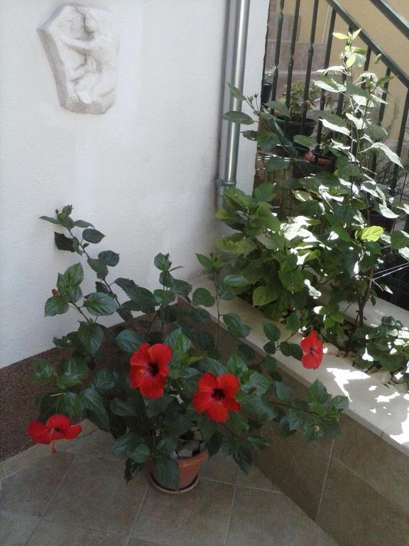 Apartments Sime Trogir Exterior foto